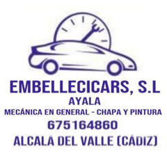 embellecicars-2
